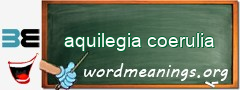 WordMeaning blackboard for aquilegia coerulia